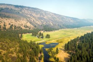 Organic Cattle Ranch in Oregon